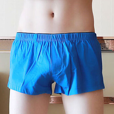 

Men Solid Trousers Elastic Waist Bottoms Gym Sports Underwear Boxer Brief Shorts