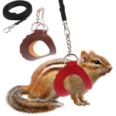 

Greensen 2PCS Small Pet Outdoor Walking Harness Vest&Leash Set with Decor for Kitten Accessory