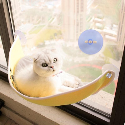 

Cat Window Hammock Suction Cups Cat Window Perch Suction Cups Replacement of Suction Cups