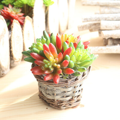 

Artificial Simulated Cactus Fake Plants Plastic Greenery Garden Home Decoration