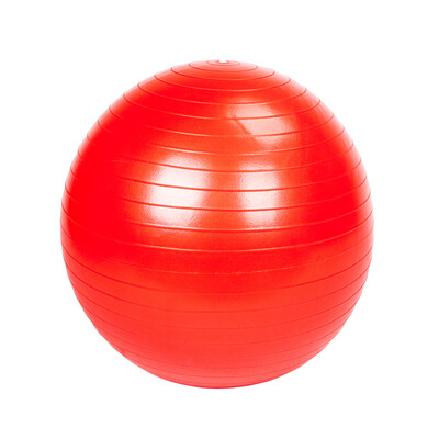 

Ktaxon 2PCS 55cm 65cm 75cm 85cm Anti-Burst Exercise Yoga Balance Ball - Fitness Stability Training Ball with Air Pump