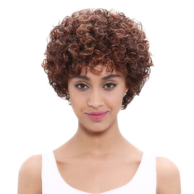 

Sleek Brazilian Afro Kinky Curly Human Hair Wig Remy Short Human Hair Wigs For Women Black Mix Color Non Lace Wig Free Shipping
