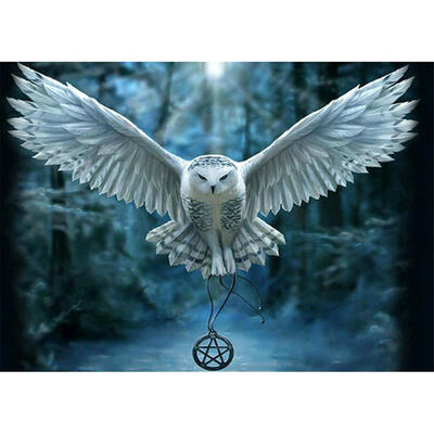 

5D DIY Full Drill Diamond Painting Night Eagle Cross Stitch Embroidery Kits