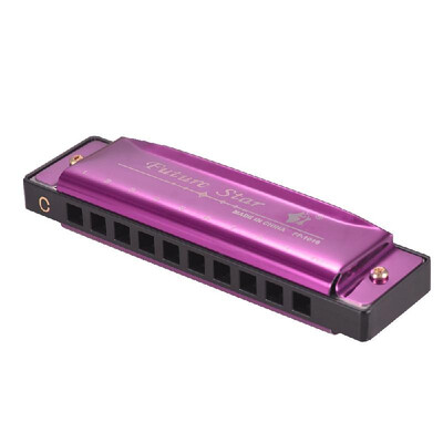 

Key of C Diatonic Harmonica Mouthorgan with ABS Reeds Mirror Surface Design 10 Holes Blues Harmonica Perfect for Beginners Profess