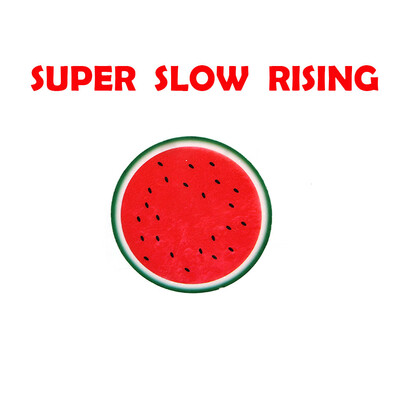 

Gotoamei Cute Small Fruits Stress Reliever Scented Super Slow Rising Toy