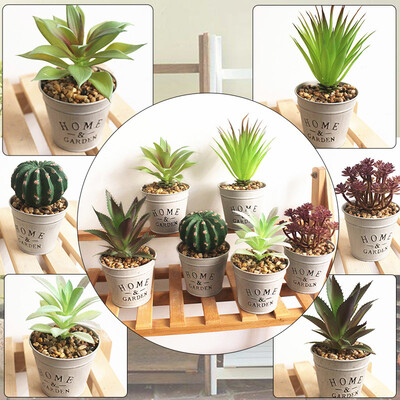 

Faux Succulent Artificial Succulent Fake Simulation Potted Plant Home Decor Sale