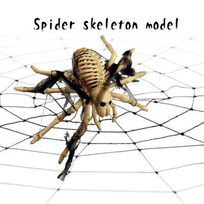 

Creepy Spider Skeleton Model Bones Horror Halloween Party Bar Home Decoration