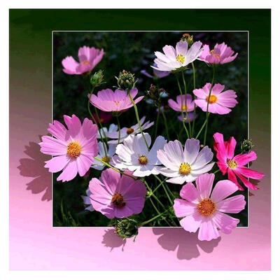 

5D DIY Full Drill Diamond Painting Pink Flowers Cross Stitch Embroidery Kit