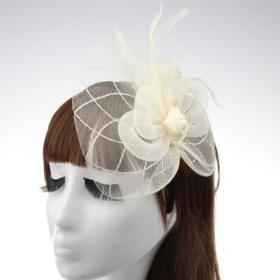 

Women Feather Headwear Fascinator Hair Clip Mesh Wedding Birdcage Hat Part