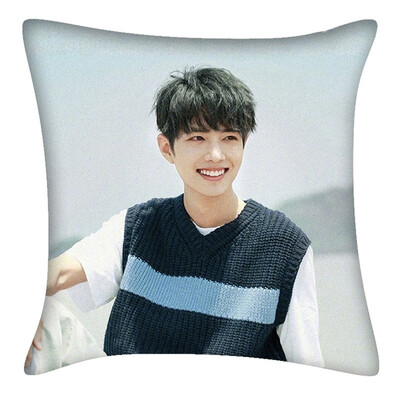 

Chen Qinglings Best-selling Surrounding Sofa Car Cushion Double-sided Pillow