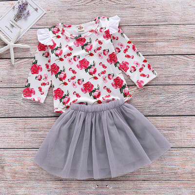 

2019 New Autumn Baby Girl Long Sleeve Flower Pattern Cotton Romper Mini Mesh Skirts Casual Outfits Set