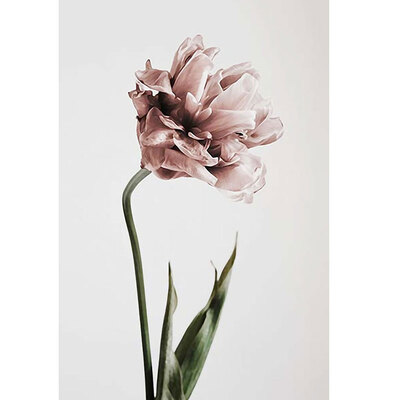 

Diy Wall Art Red Flower Art Picture Canvas Painting Home Decoration Accessories Room Decoration