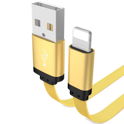 

1M Charger Cable for iPhone X 8 7 6 5s iPad Mobile Phone