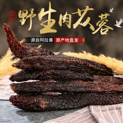 

Wild Rou Cong Rong Cistanche Tubulosa Deserticola Desert Ginseng China Herb 250g