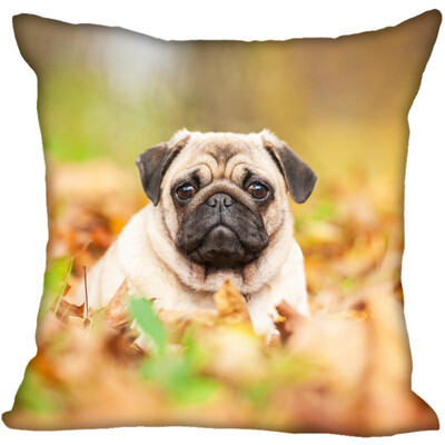 

Pug Pillow Cover Bedroom Home Office Decorative Pillowcase Square Zipper Pillow Cases Satin Fabric No Fade