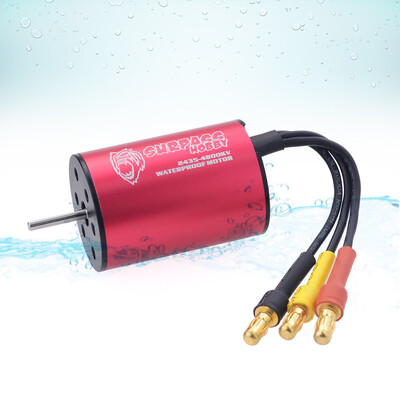 

Tailored SURPASS HOBBY Waterproof Brushless 2430 5800KV Motor for 118 116 RC Car