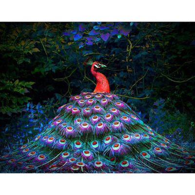 

5D DIY Full Drill Diamond Painting Peacock Cross Stitch Embroidery Mosaic