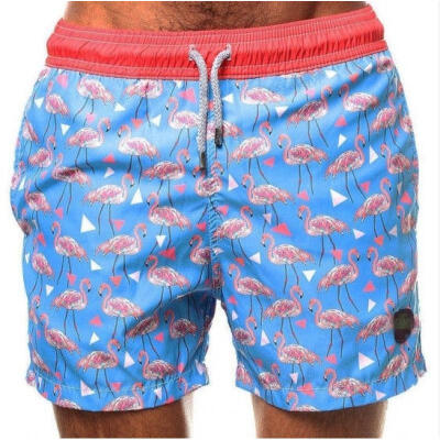 

Mens Swimming Board Shorts Swim Shorts Trunks Swimwear Beach Summer Boys