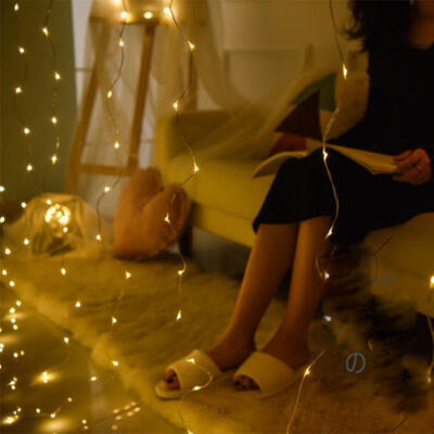 

LED Curtain Light Decorative String Light For Bedroom Garden Wedding 3 X 3m 300LEDs WRemote