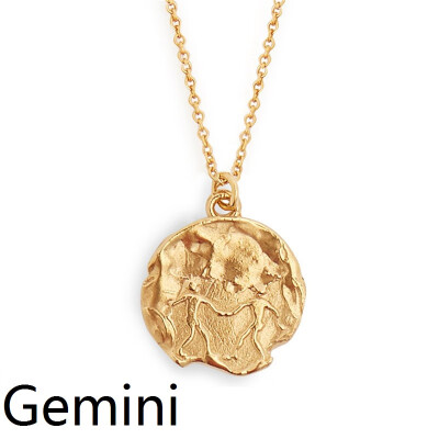 

Star Zodiac Sign 12 Constellation Coin Necklaces & Pendants Choker Necklaces for Women Long Chain Necklace bijoux femme