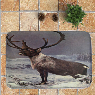 

〖Follure〗Merry Christmas Welcome Doormats Indoor Home Carpets Decor 40x60CM