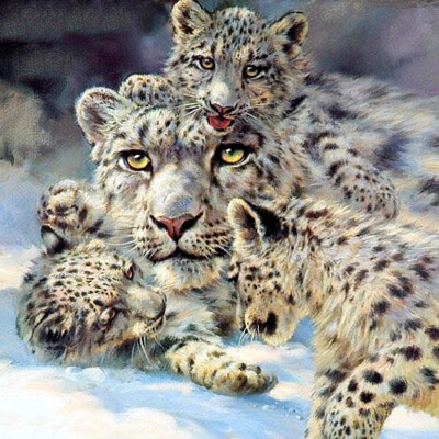 

Diamond Mosaic Full Display Pictures Of Rhinestones Animals Cross Stitch Kits Diamond Painting Full Square New Arrival