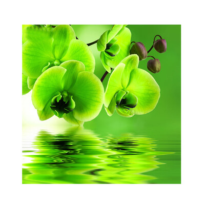 

Flower Orchid 5D Diamond DIY Painting Kit Home Decor Craft