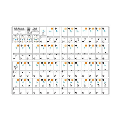

Piano Keyboard Stickers Removable Transparent for 37 49 61 88 Keys Keyboards for Kids Beginners Piano Practice