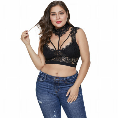 

Plus Size underwear high collar lace lace top