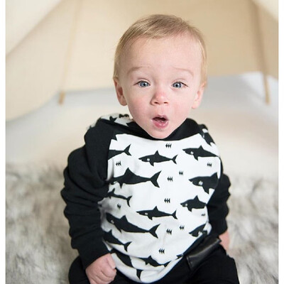 

Newborn Infant Baby Boy Girl Cartoon Shark Hoodie TopsPants Outfit Clothes Set