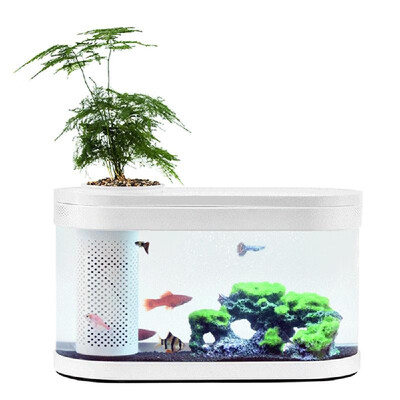 

Geometry Fish Tank Aquaponics Ecosystem Small Water Garden Ecological Fish Tank Transparent Aquarium
