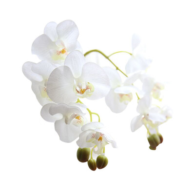 

Gobestart Wedding Colorful Artificial Fake Silk Flower Phalaenopsis Orchid Decor