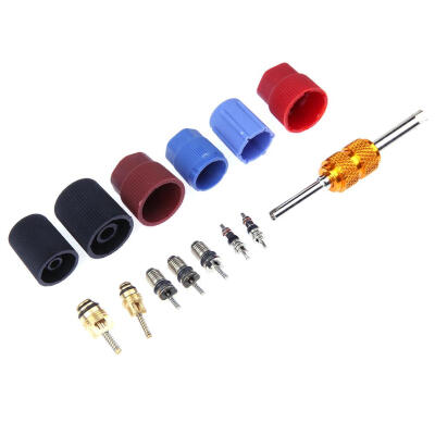 

14pcs Automotive AC AC System Cap Schrader Valve Core w Remover Tool Kit