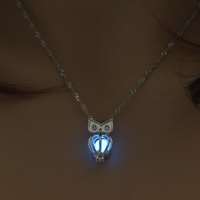 

1PC New Skull Glow In The Dark Chaming Luminous Horse Heart Owl Charm Women Jewelry Fashion Pendant Necklace