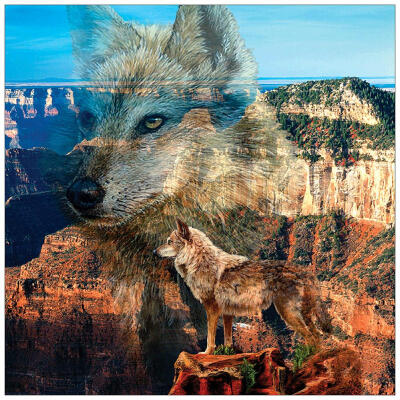 

5D DIY Full Drill Diamond Painting Wolf Cross Stitch Embroidery Home Decor