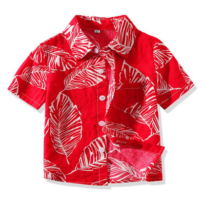 

Summer Baby Clothes Boys Shirts Short Sleeve Floral Print Shirts Kids Tops Tees Shirts Fashion Blouse 1