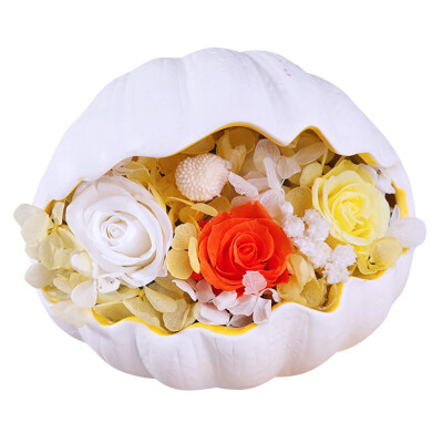 

Valentines Day Lovers Gift Rose Flower With Conch Shells Exquisite Durable Eternal Flower Box Preserved Flower