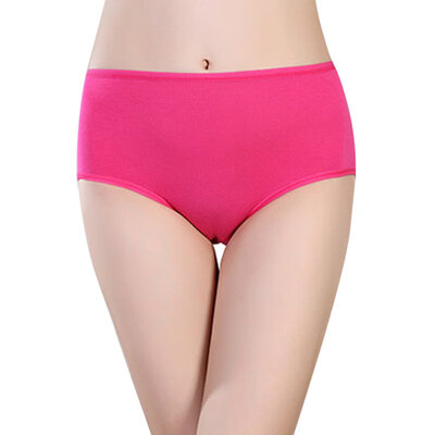 

Women Sexy Menstrual Period Leakproof Physiological Briefs Seamless Panties