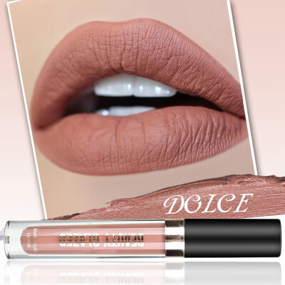 

Liquid Lipstick Lipgloss Sexy Colors Lip Paint Matte Lipstick Waterproof Long Lasting Lip Gloss Makeup Cosmetic