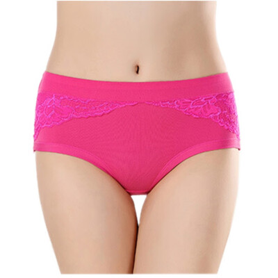 

Underwear Women Briefs Everyday Women Panties With Sexy Lace Women Lace Soft Briefs Sexy Lingerie