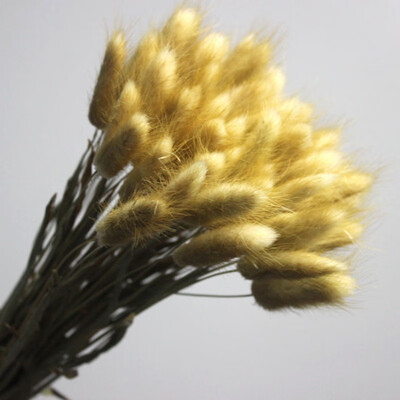 

30pcslot Real Touch Artificial Flowers Wedding Decorative Flowers Natural Rabbit Tail Fake Flowers Wedding Party Decoration