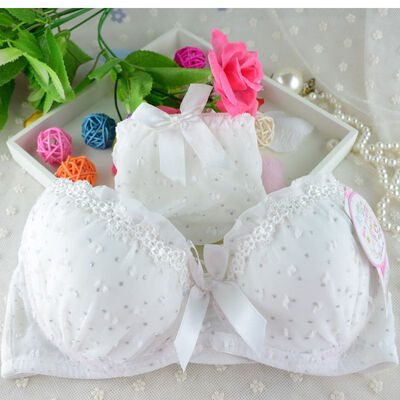 

Sexy Lingerie Elegant 34 Cup Bra Panty Dot Lace Women Underwear Set Push Up Bra Set