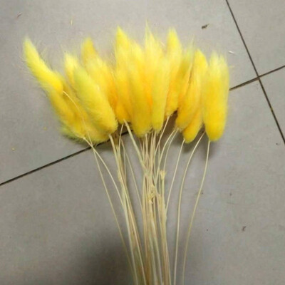 

30pcslot Real Touch Artificial Flowers Wedding Decorative Flowers Natural Rabbit Tail Fake Flowers Wedding Party Decoration
