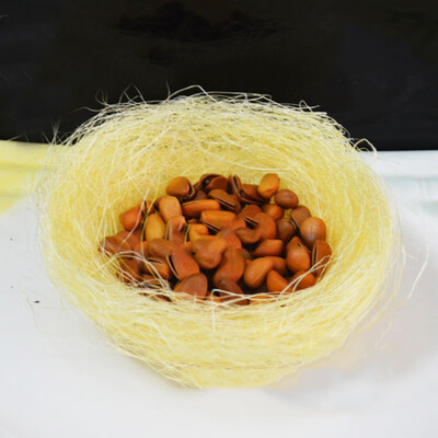 

Cute Mini Bird Nest for Easter Party Decoration Creative Natural Hemp Bird Nest Easter Garden Miniature Landscape Decor 20pcs