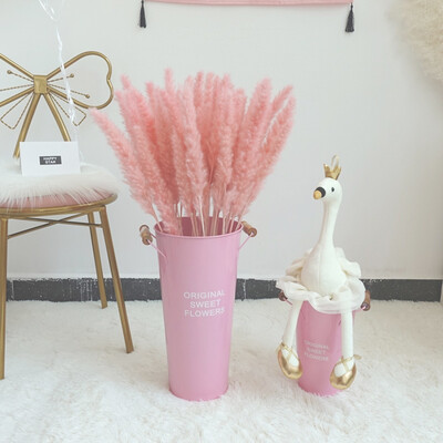 

153060 Pcs Dried Small Pampas Grass Phragmites Communis Decoration for Home Store Wedding