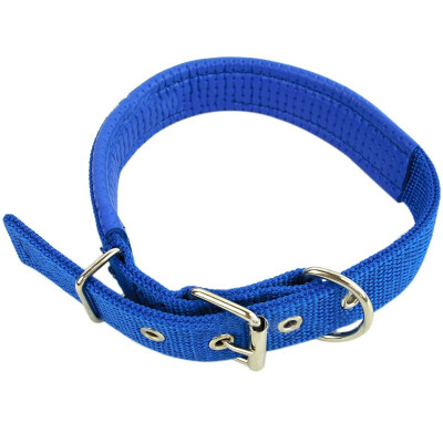 

Soft Liner Nylon Padded Dog Pet Collars Neck Protection Safe Collar For Small Medium Large Dogs High Quality