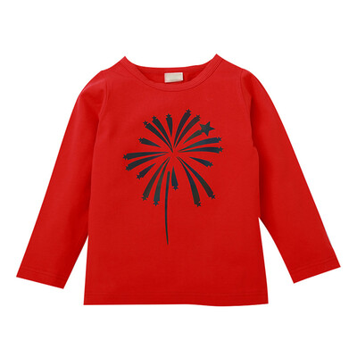 

New Autumn Baby Kids Girl Long Sleeve T-Shirts Children Girls Floral Print Tops Tees Casual Blouse