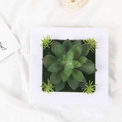 

Artificial succulent plants Imitation fake flowers wood photo frame 3D Decoration Green Wall Hanging home decor