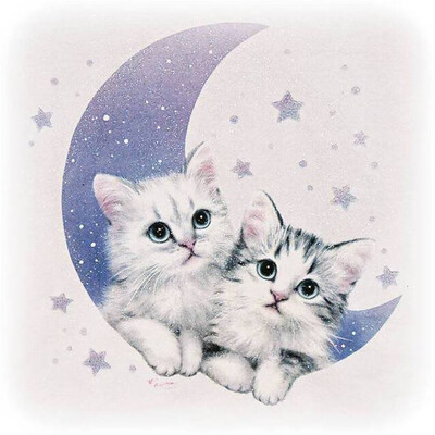 

Siaonvr 5DFull Embroidery Paintings Rhinestone Pasted DIY Diamond Painting Cross Stitch