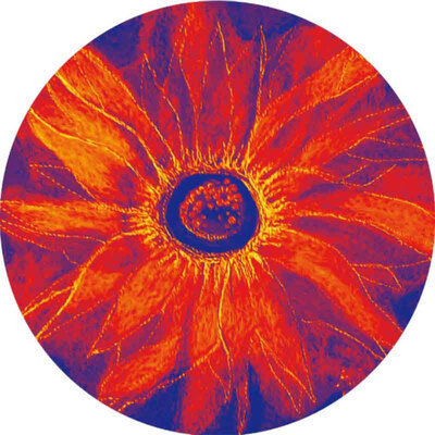 

Oil Painting Tapestry Round Abstract Colorful Beach Polyester Wall Throw Blankets